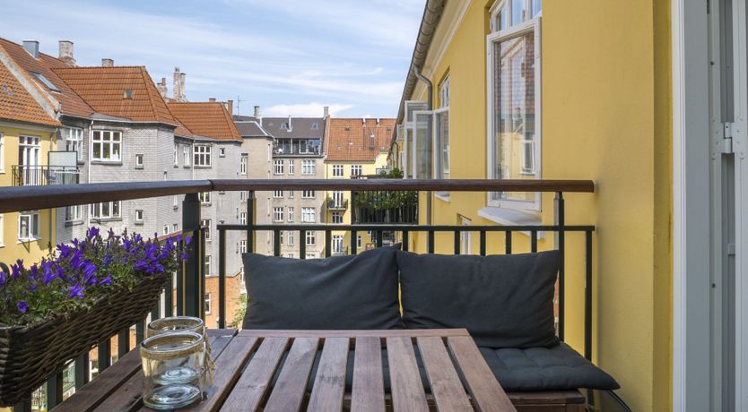 Photo of The Two Owls