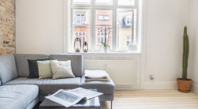 Photo of The Two Owls