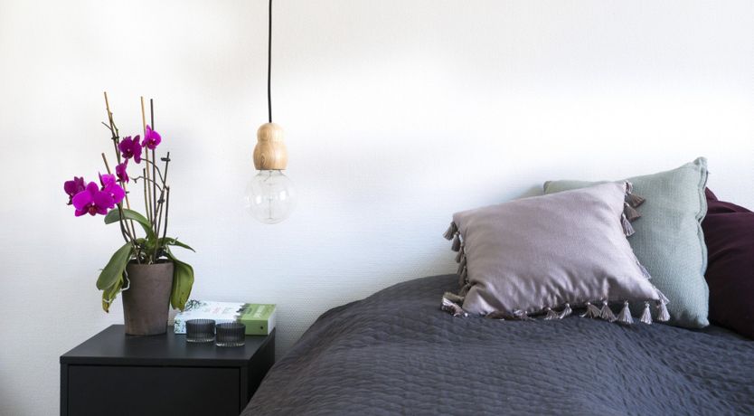 Photo of The Two Owls