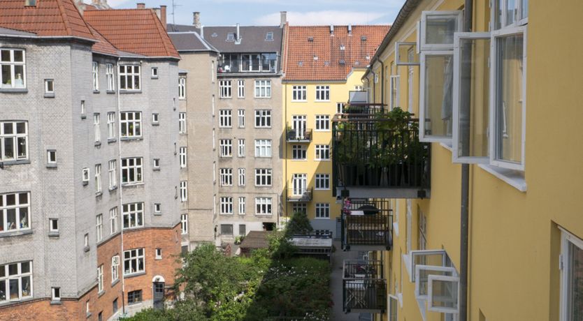 Photo of The Two Owls