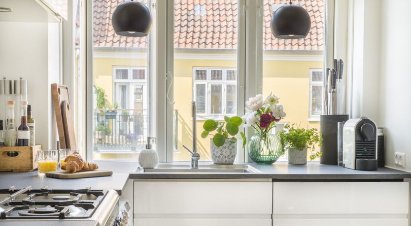 Photo of The Two Owls