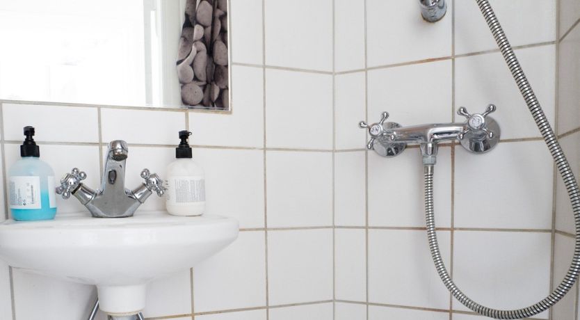 Photo of The Two Owls