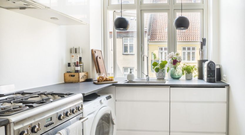 Photo of The Two Owls