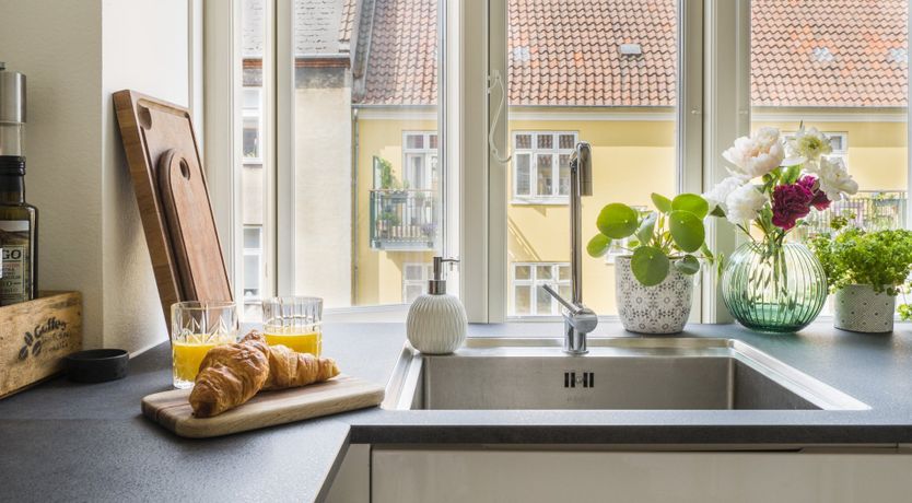 Photo of The Two Owls