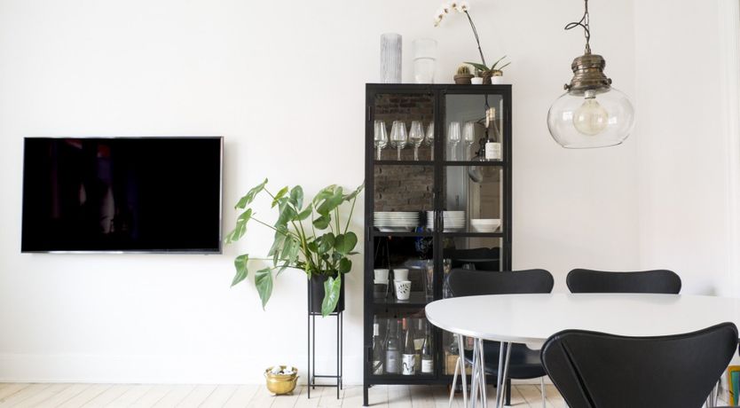 Photo of The Two Owls