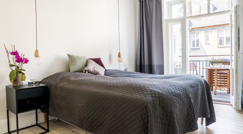 Photo of The Two Owls