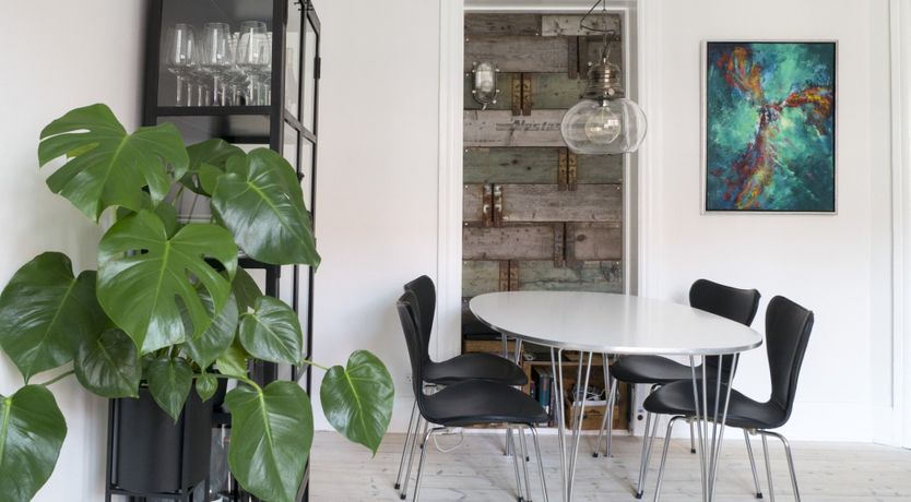 Photo of The Two Owls