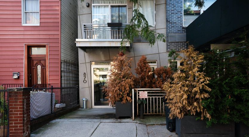 Photo of Tropical Kaleidoscope