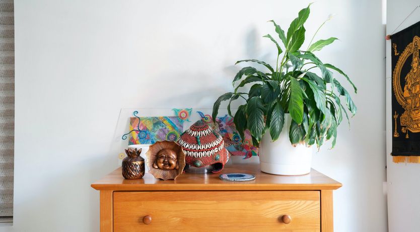 Photo of Tropical Kaleidoscope