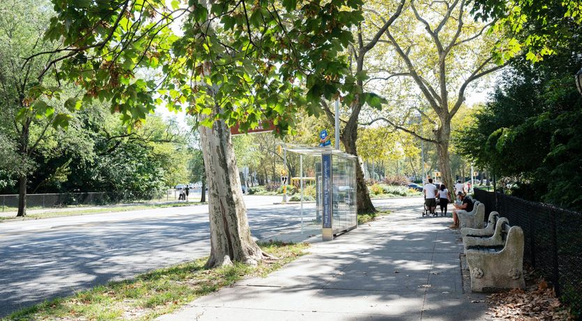 Photo of Tropical Kaleidoscope