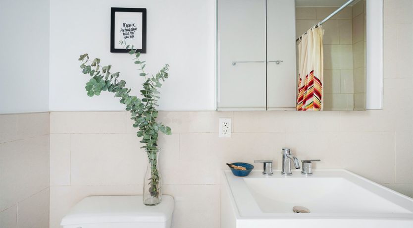 Photo of Tropical Kaleidoscope