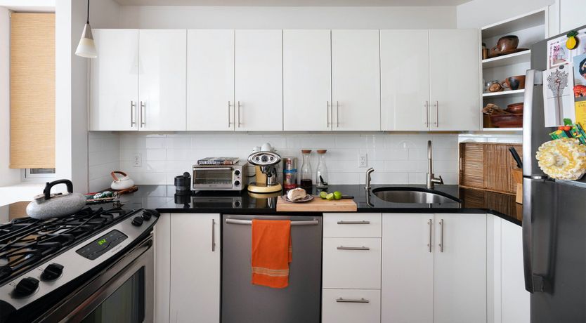 Photo of Tropical Kaleidoscope