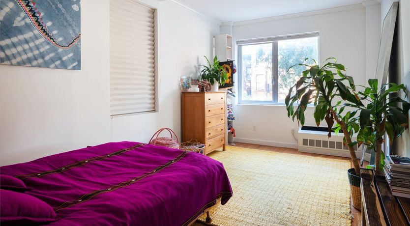 Photo of Tropical Kaleidoscope