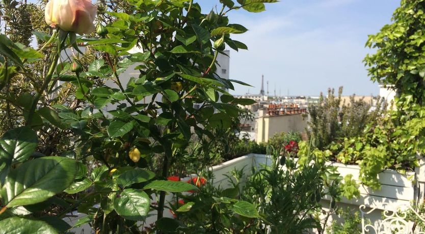 Photo of Moon Hangout