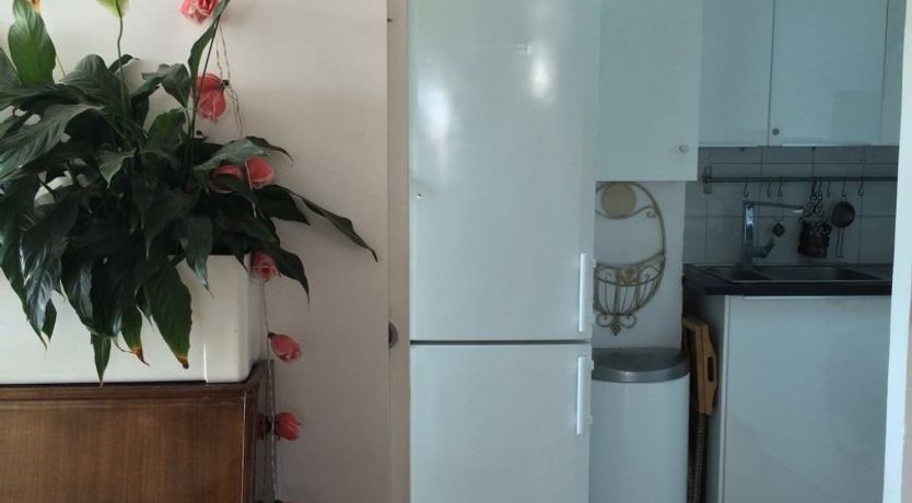 Photo of Moon Hangout