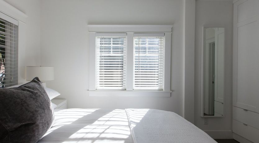 Photo of Purple Bamboo