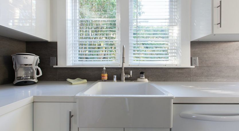 Photo of Purple Bamboo