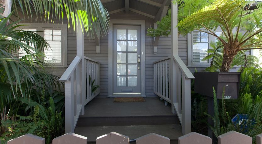 Photo of Purple Bamboo