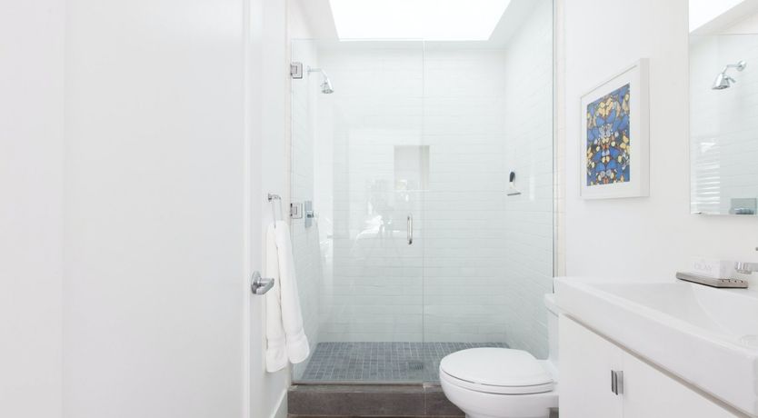 Photo of Purple Bamboo