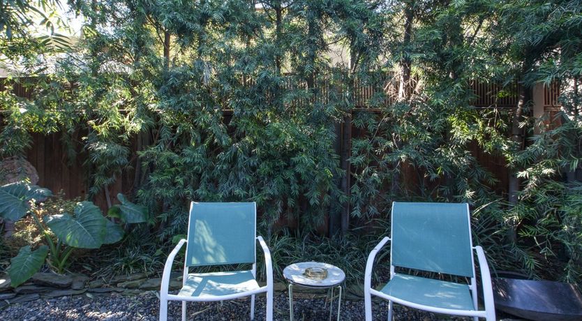 Photo of Purple Bamboo