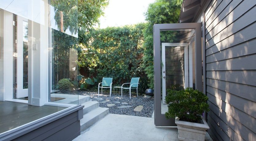 Photo of Purple Bamboo