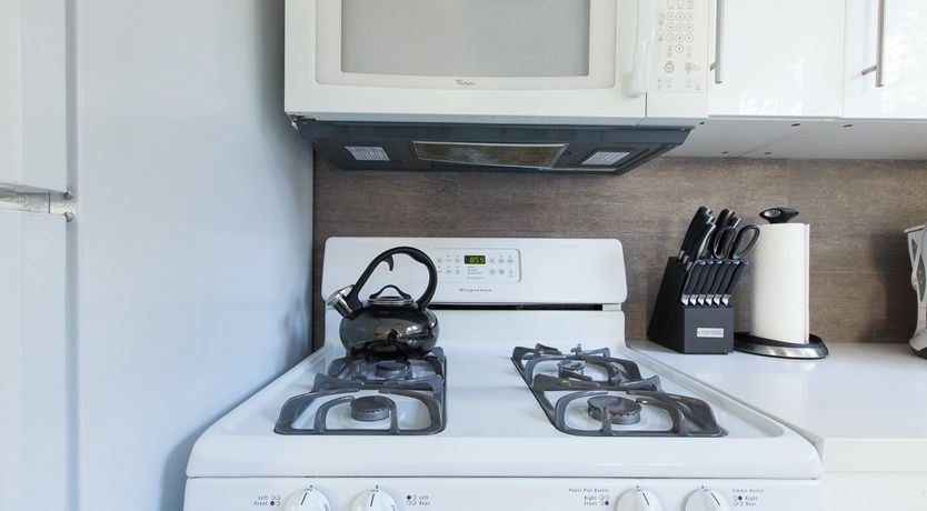 Photo of Purple Bamboo