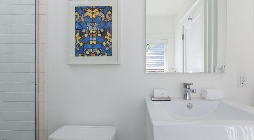 Photo of Purple Bamboo