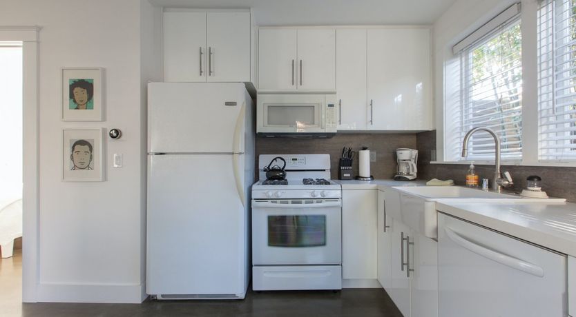 Photo of Purple Bamboo