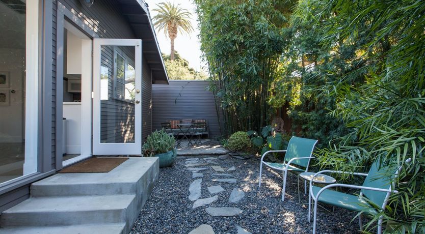 Photo of Purple Bamboo