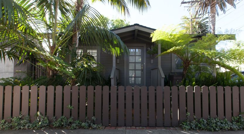 Photo of Purple Bamboo