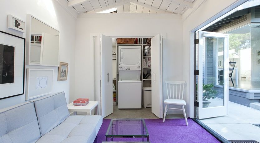 Photo of Purple Bamboo