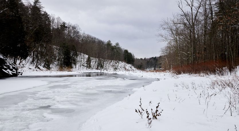 Photo of Riverside Modern