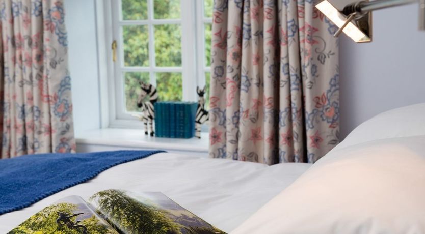 Photo of Eggs In A Basket