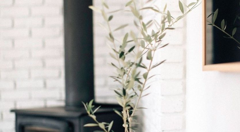 Photo of Pioneer Place