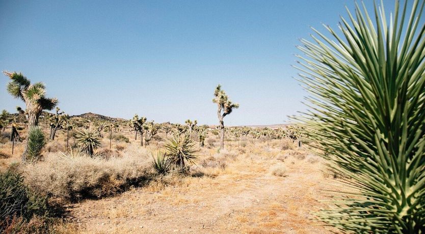 Photo of Pioneer Place