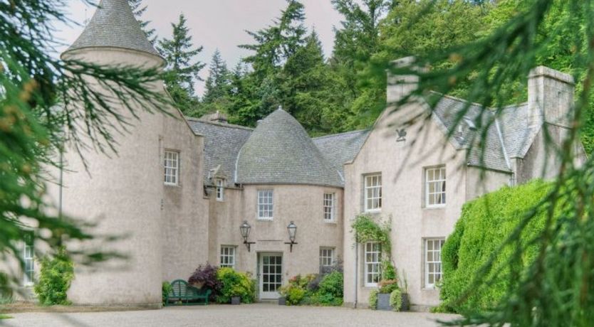 Photo of Baronial Bliss