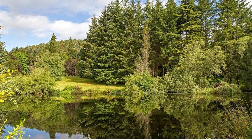 Photo of Baronial Bliss