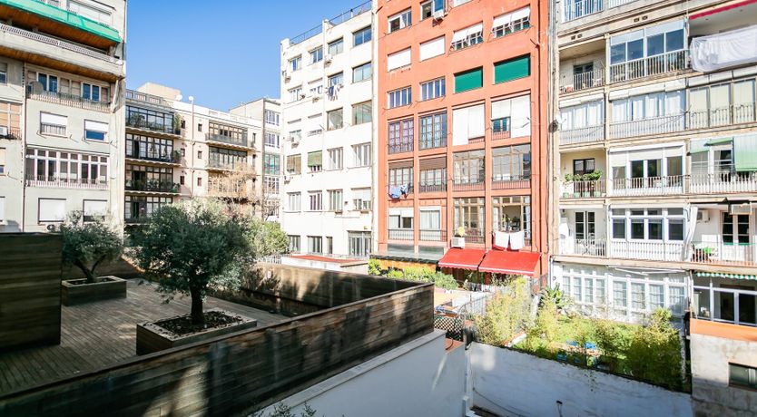 Photo of Royal Optics