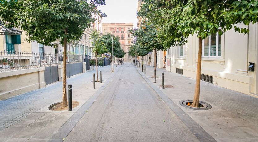 Photo of Royal Optics