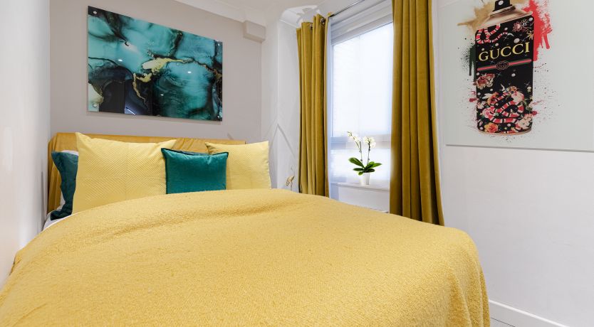 Photo of Steady, Set, Go