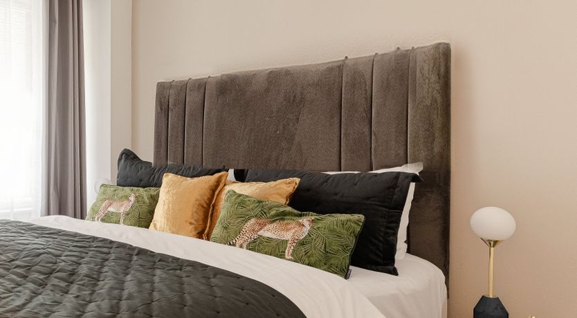 Photo of Steady, Set, Go