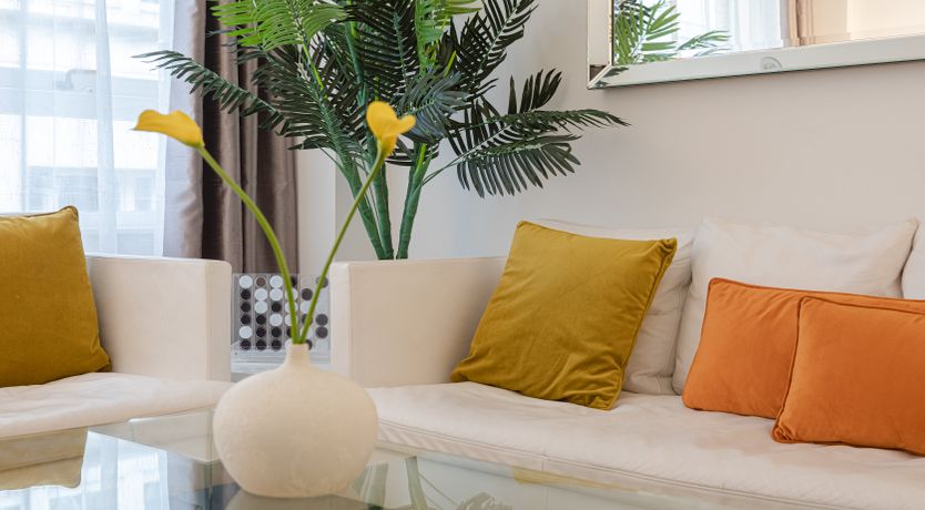 Photo of Steady, Set, Go