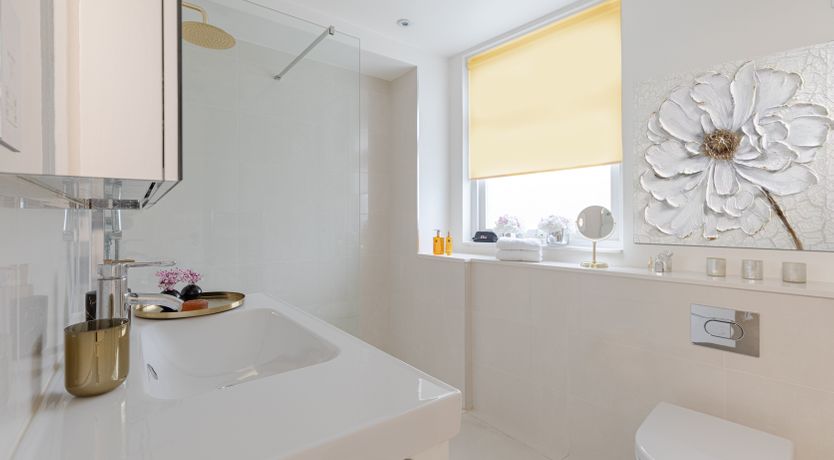 Photo of Steady, Set, Go