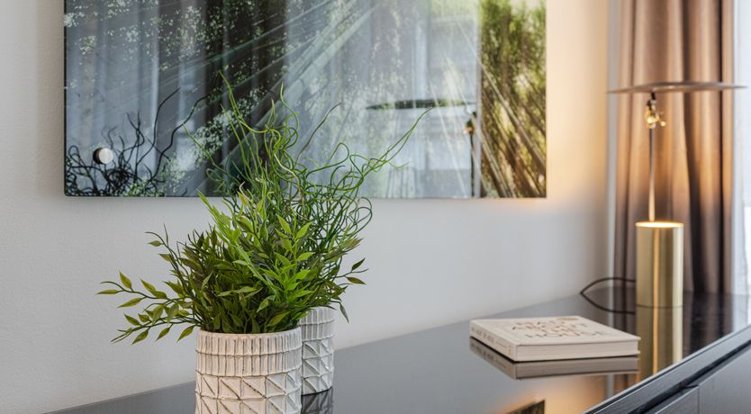 Photo of Steady, Set, Go