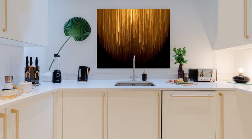 Photo of Steady, Set, Go