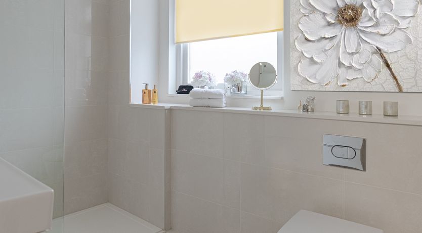 Photo of Steady, Set, Go