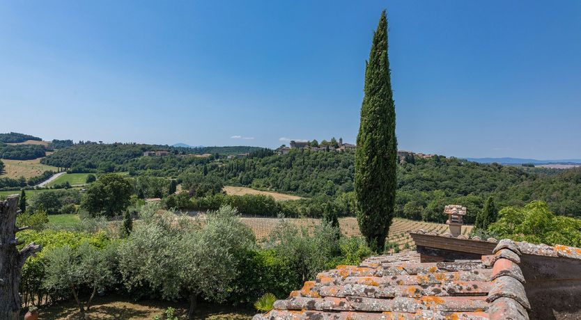 Photo of Oleander Oasis