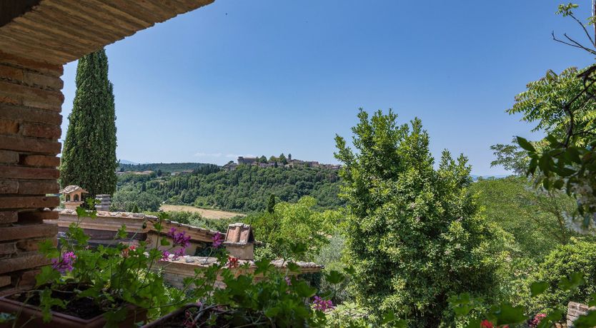 Photo of Oleander Oasis