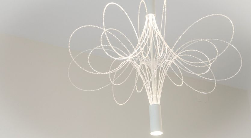 Photo of Pop of Yellow