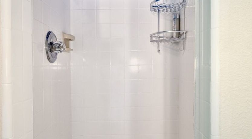 Photo of Distinguished Beauty